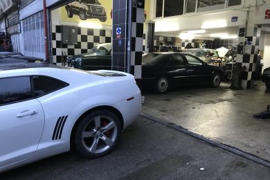 AFF8D191-34BE-4B38-8907-791DF056C553